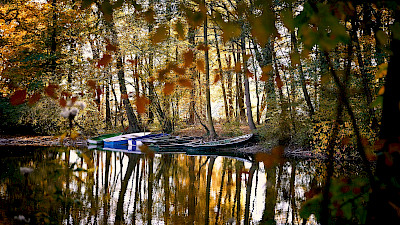 Die Aufnahme zeigt Herbstmotive im Bagno-Park in Steinfurt.