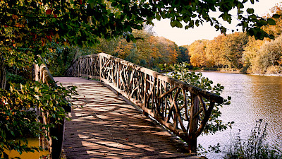 Idyllische Herbststimmung im Steinfurter Bagno